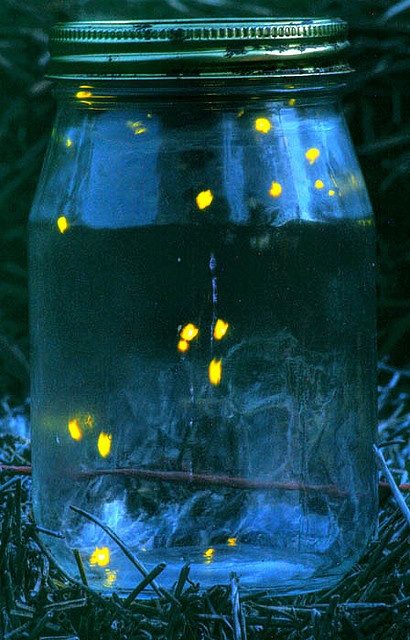 a jar filled with water and yellow fireflies on top of the inside of it