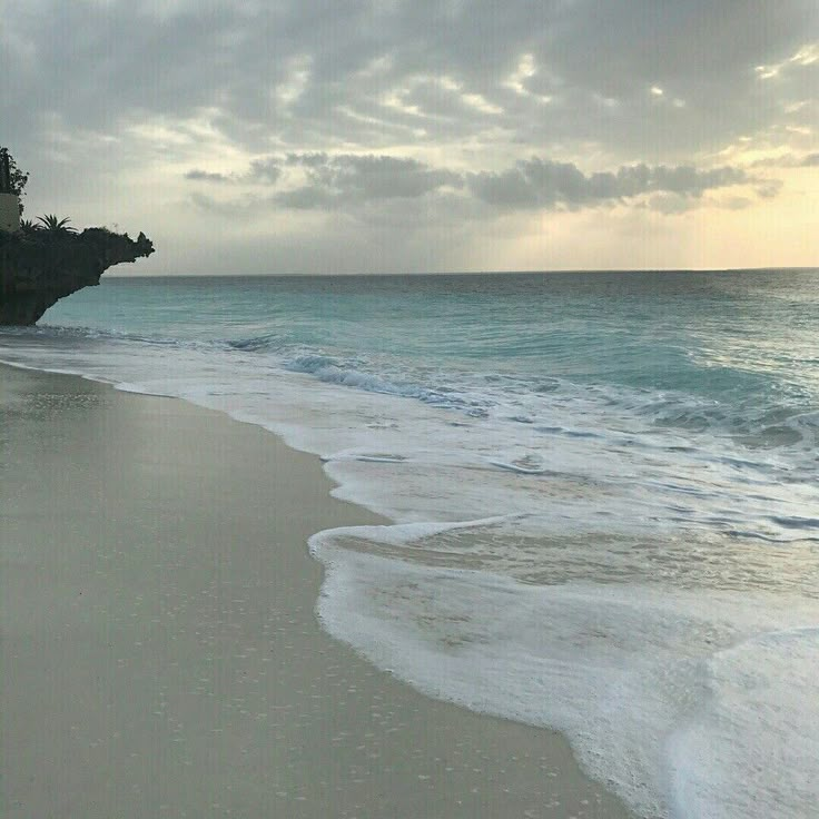 an ocean beach with waves coming in to shore and trees on the cliff side behind it