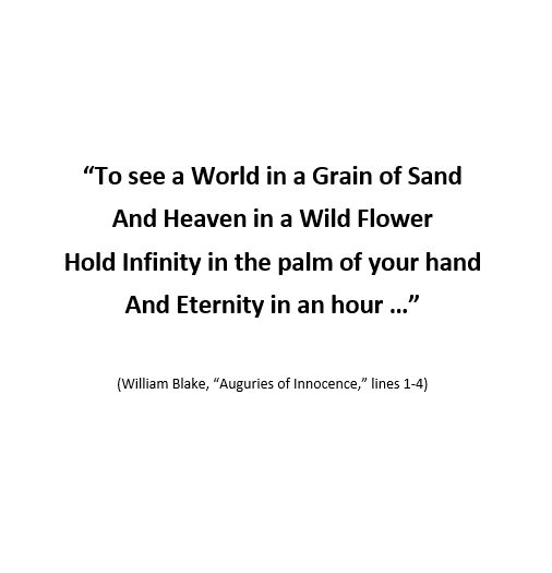 an image with the words to see world in a grain of sand and heaven in a wild flower hold in the palm of your hand and eternity in an hour