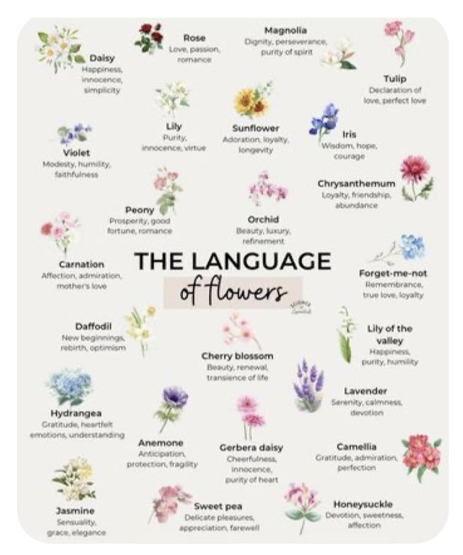 the language of flowers is shown in this image with different colors and names on it