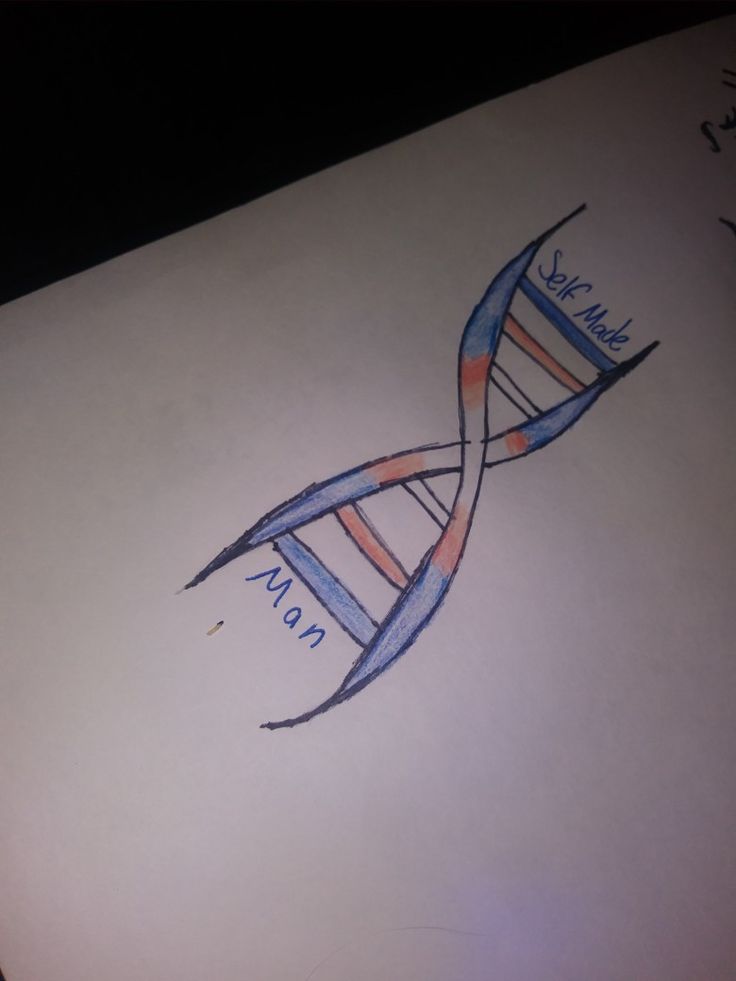 a drawing of a double strand of blue and orange lines