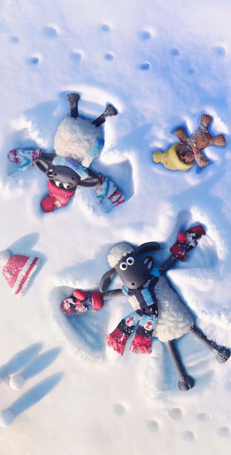 three sheep are riding snowboards in the snow