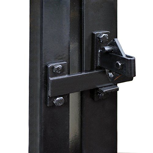 an open door with two black latches on it