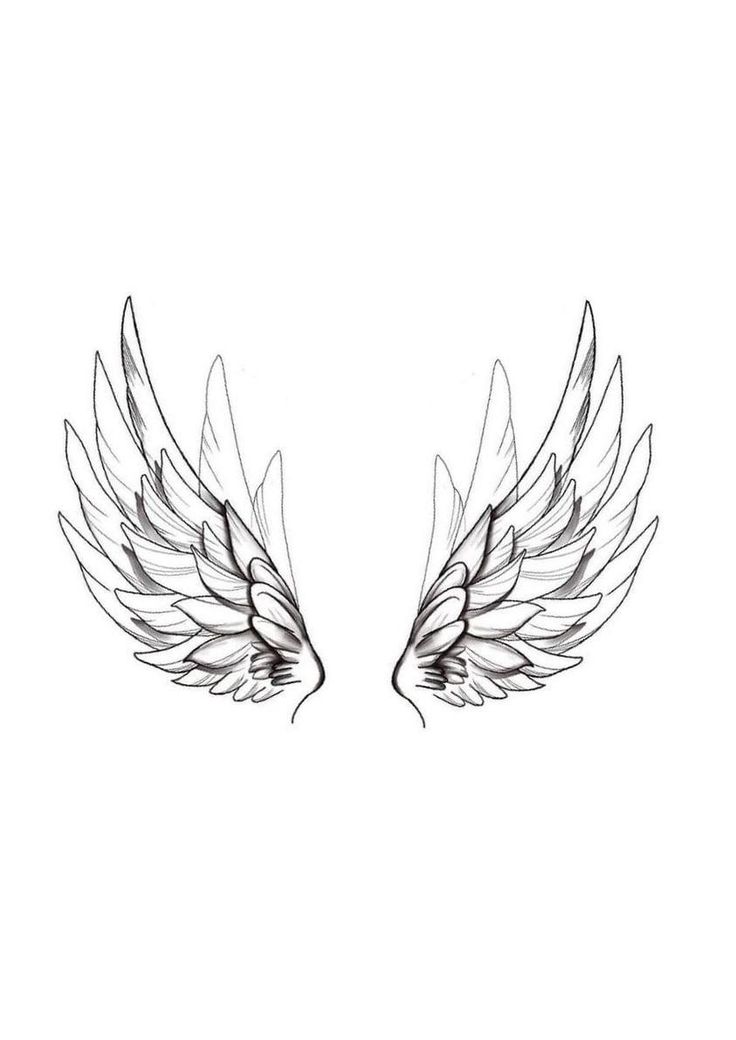 two wings that are drawn in black and white