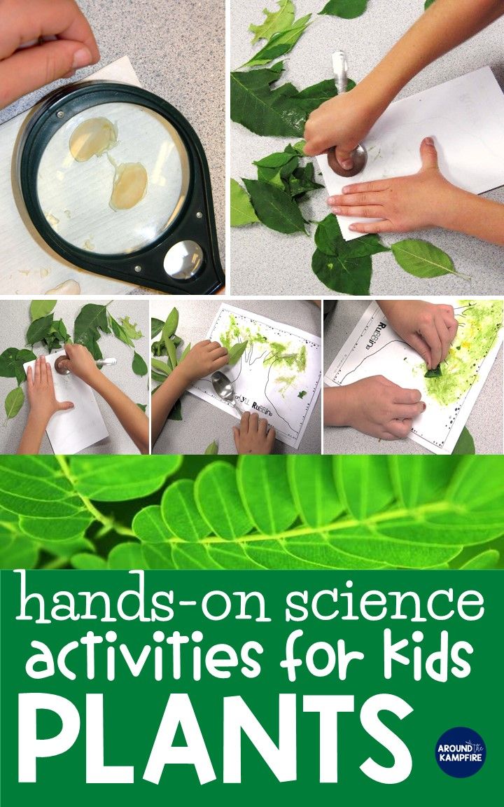 hands - on science activities for kids plants with pictures and instructions to make them look like they are doing something