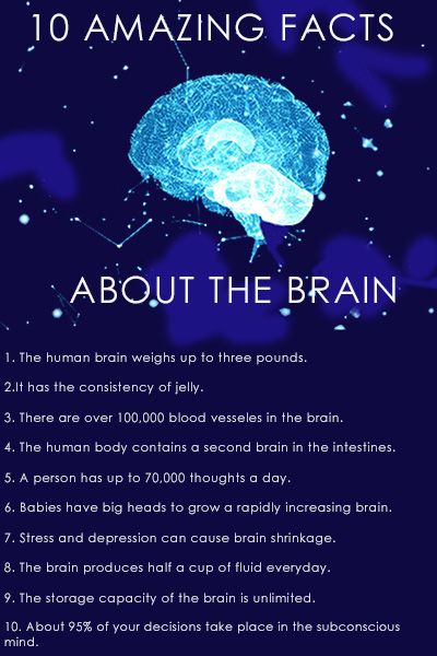 Traumatic Brain Injuries, Symptoms Of Concussion, Improve Brain Power, Nursing Classes, Brain Injuries, Human Psychology, Filmmaking Cinematography, Brain Facts, Brain Connections