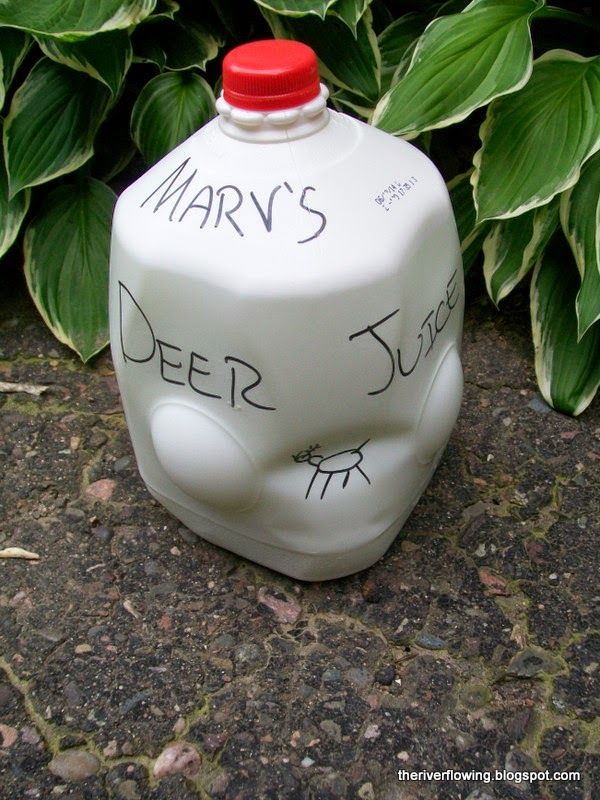 a white jug with writing on it sitting in front of some green plants and bushes