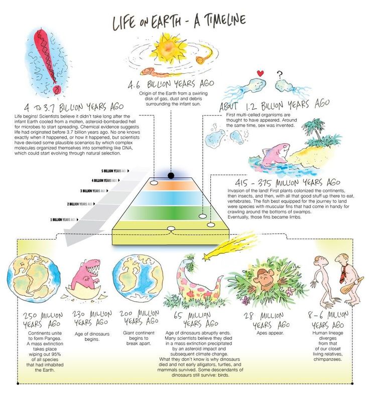 the life and times of earth's atmosphere in an illustrated diagram, with text