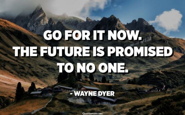 a mountain range with a quote from wayne dyer about the future is provided to no one