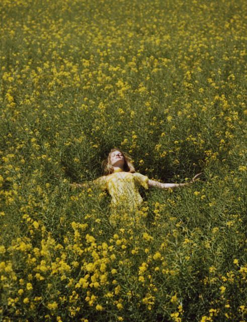 a woman is laying in the middle of a field full of yellow wildflowers