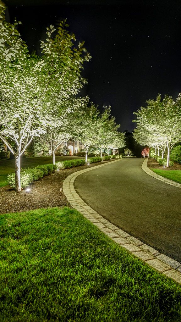 an empty road surrounded by trees and grass at night with lights shining on the trees