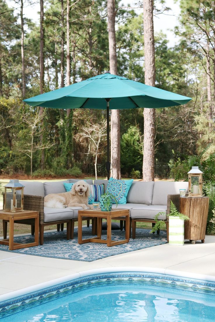 a dog sitting under an umbrella next to a swimming pool with furniture and trees in the background