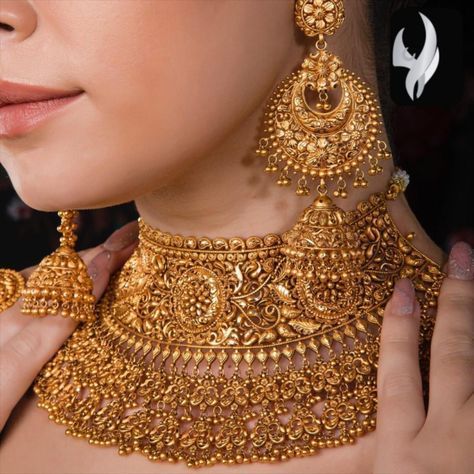 South Indian Wedding Jewelry, Temple Necklace, Indian Choker, Indian Choker Necklace, Bridal Necklace Designs, Gold Jewels Design, Neck Pieces Jewelry, Antique Necklaces Design, Perhiasan India