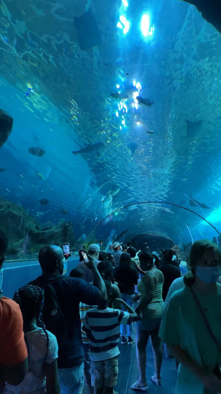 people standing in front of an aquarium looking at fish