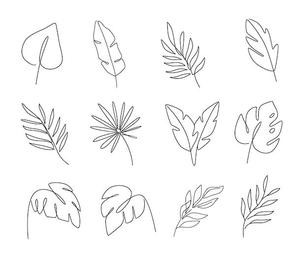 the different types of leaves drawn by hand