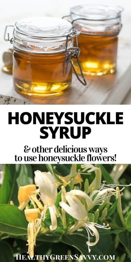 honeysuckle syrup and other delicious ways to use honeysuck flowers