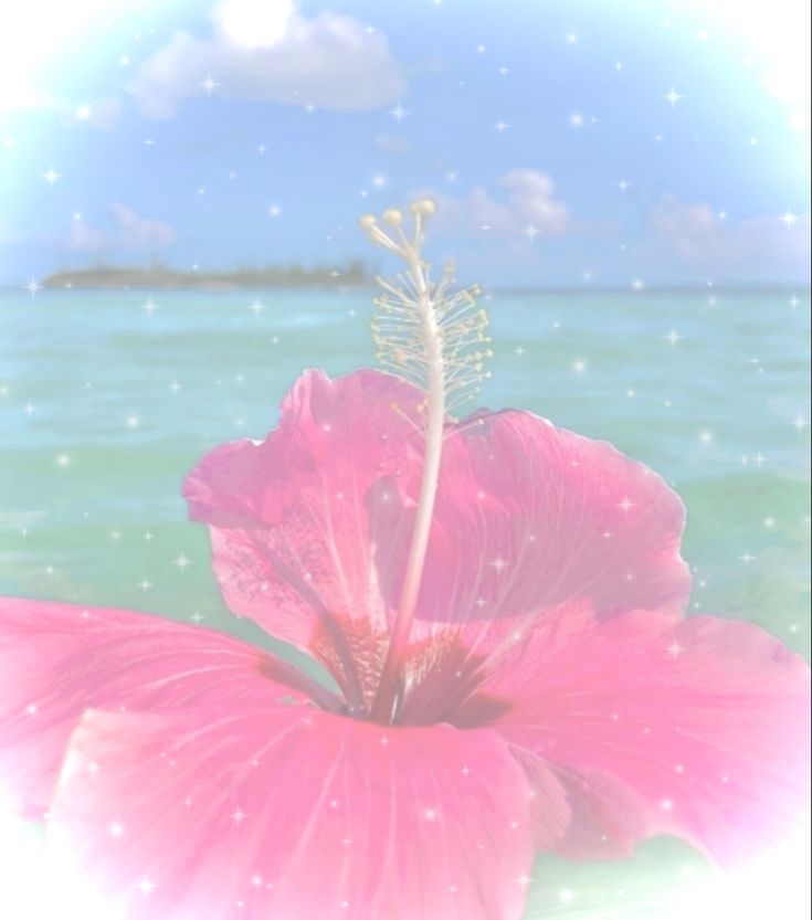 a large pink flower sitting on top of a lush green field next to the ocean