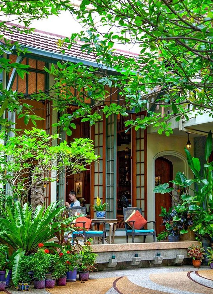 an outdoor patio area with potted plants and greenery on either side of the house