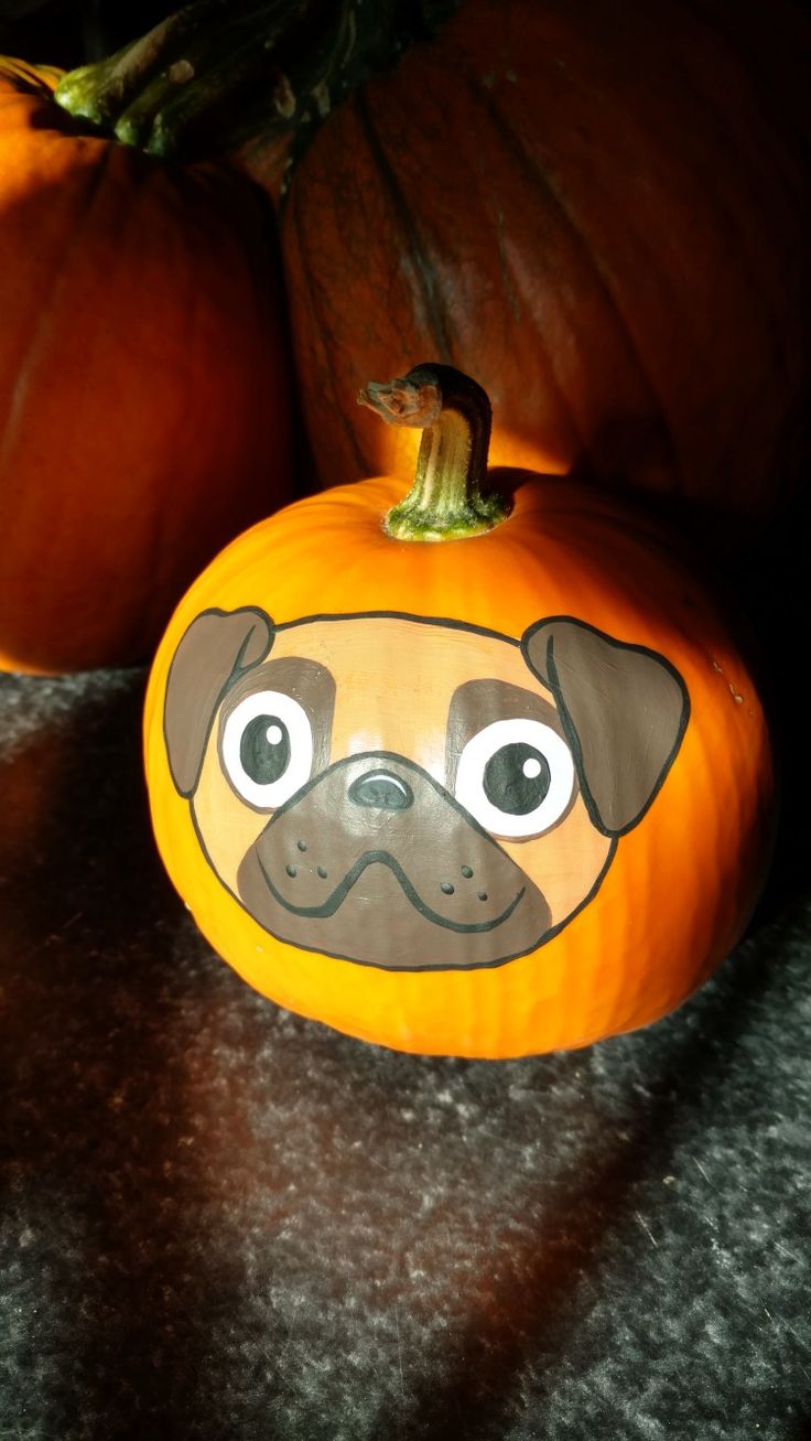 a pumpkin with a pug painted on it next to two pumpkins and one has a face