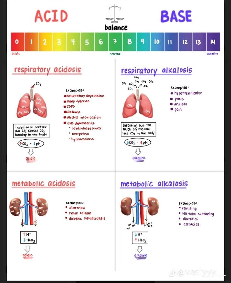 the diagram shows different types of blood vessels and their corresponding functions in each type of body