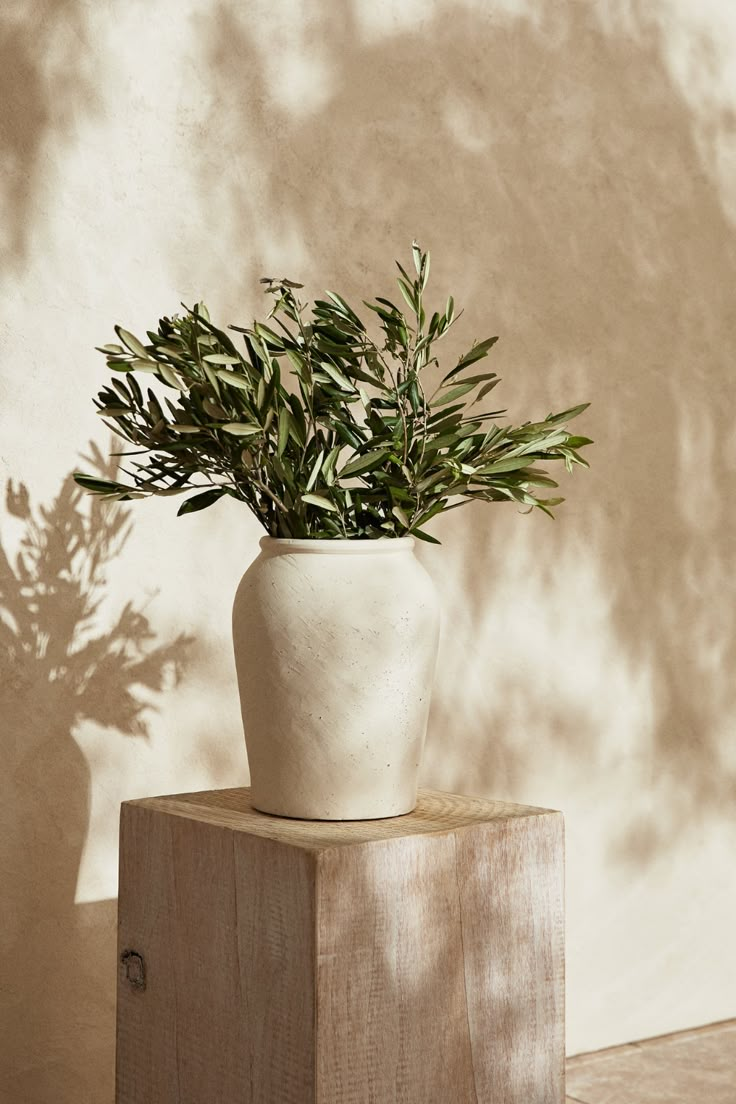 a potted plant sitting on top of a wooden block