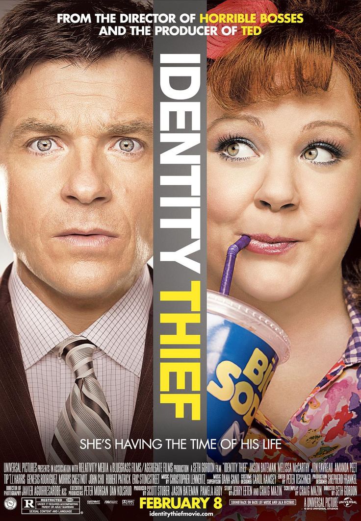 the movie poster for identity thief