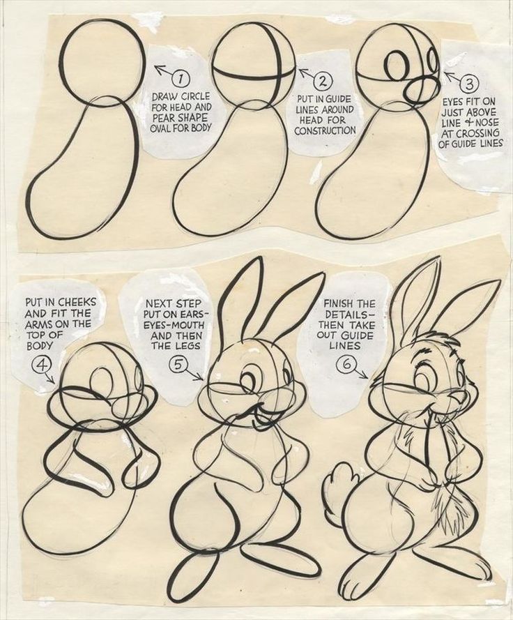 how to draw bugs from the movie bugs