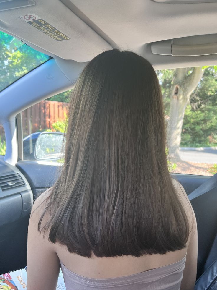 U Shape Short Haircut, U Shaped Haircut Front View, Haircut Ideas No Layers, Medium Length Haircut Chocolate Brown, Simple Straight Haircut, Shoulder Length Brunette Hair Straight, Straight Haircut Medium, Short V Cut Hair With Layers, Medium Hair Length Straight