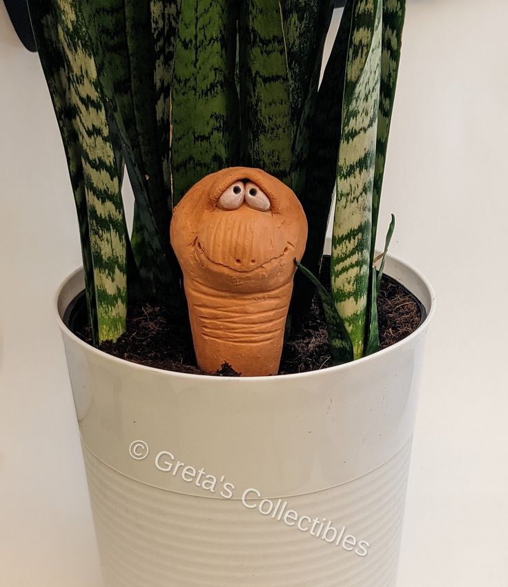 a potted plant with a face on it