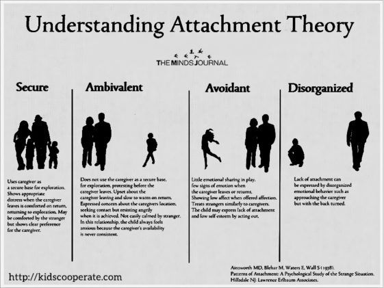 an info sheet describing the different types of attachments in each individual's body