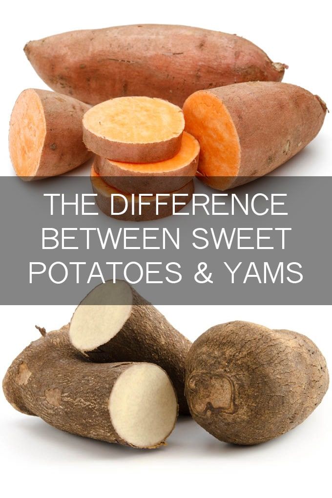 the differences between sweet potatoes and yams