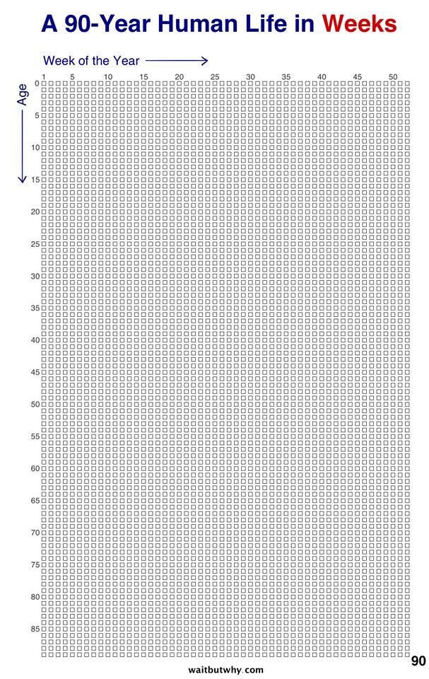 a 50 year human life in weeks chart