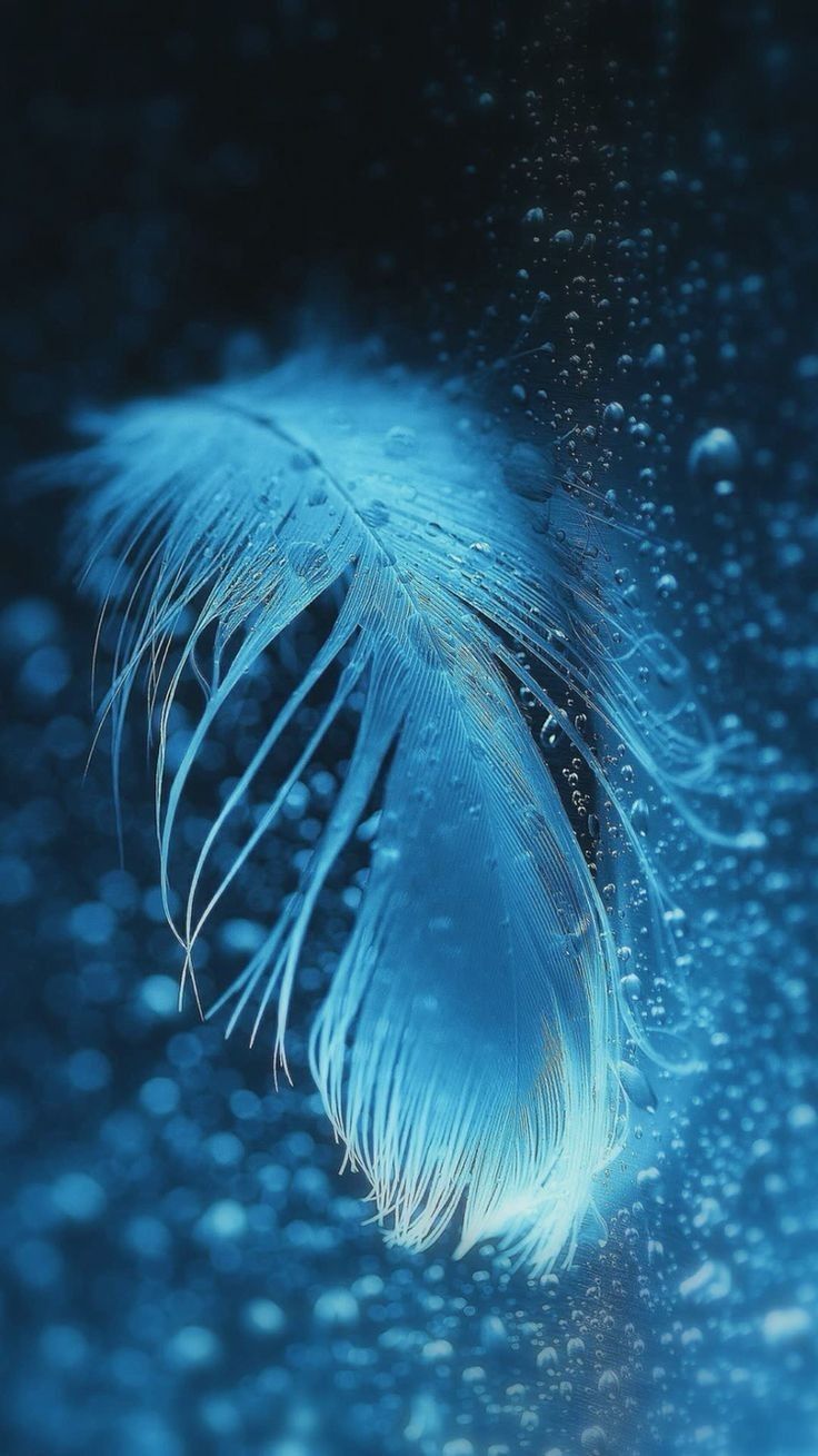 a blue feather floating in the air with drops of water on it's surface