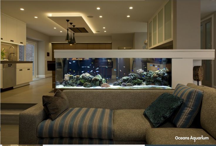 a living room filled with furniture and an aquarium in the middle of it's wall