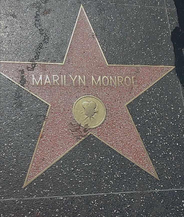 a star on the hollywood walk of fame