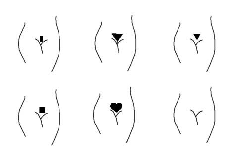 six different stages of flower petals in the shape of hearts and arrows, with one being drawn