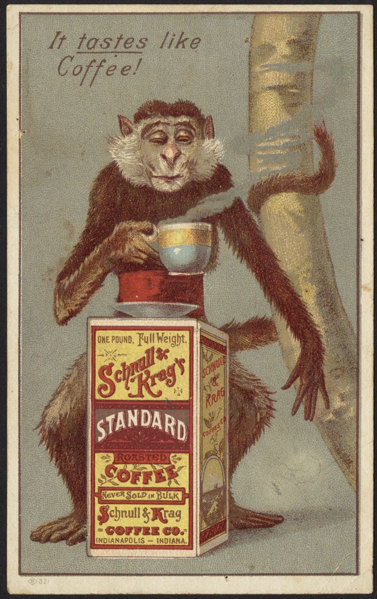 an advertisement for standard coffee featuring a monkey