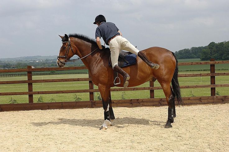 a man riding on the back of a brown horse next to a wooden fence in an enclosed area