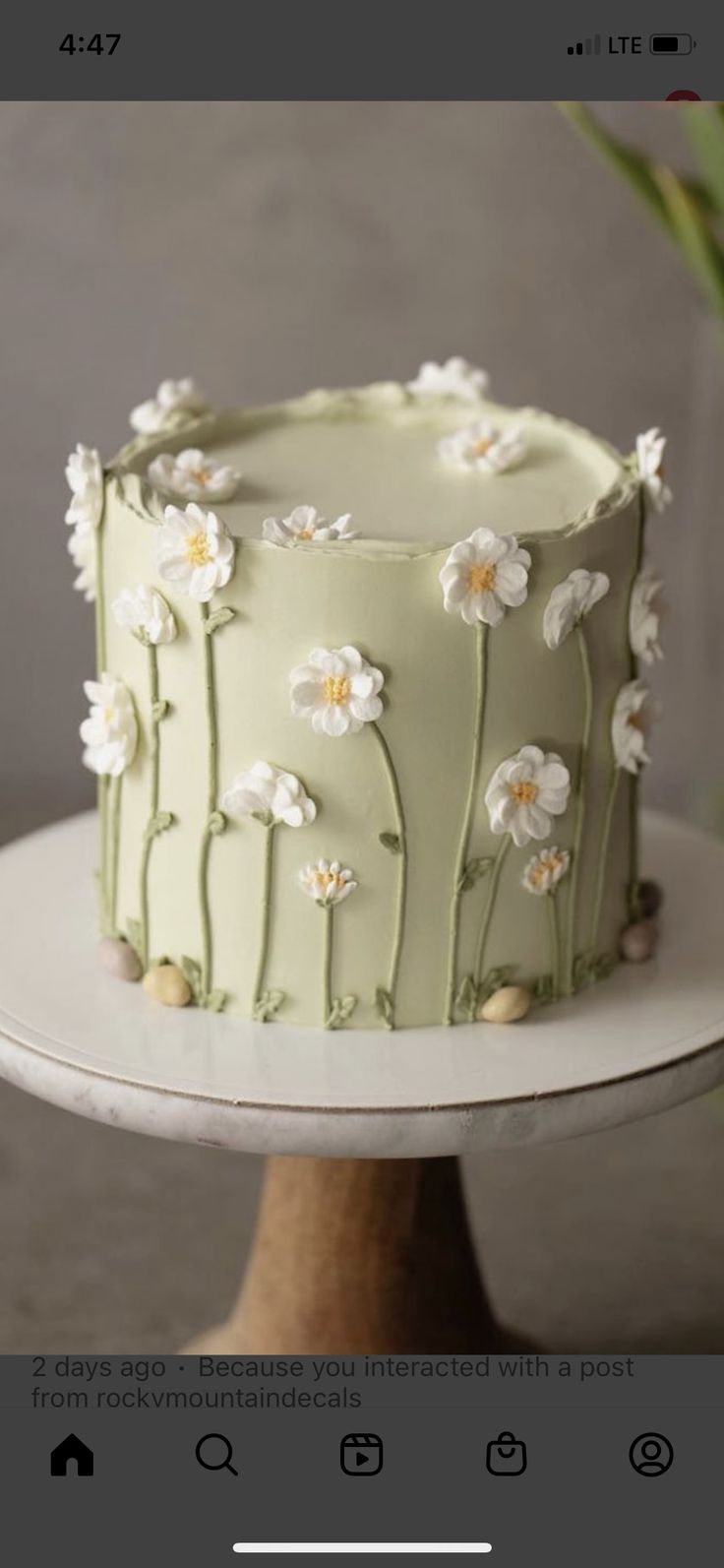 a green cake with white flowers on it