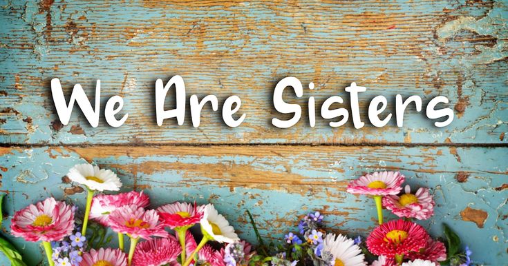 the words we are sisters surrounded by daisies and wildflowers on an old wooden background