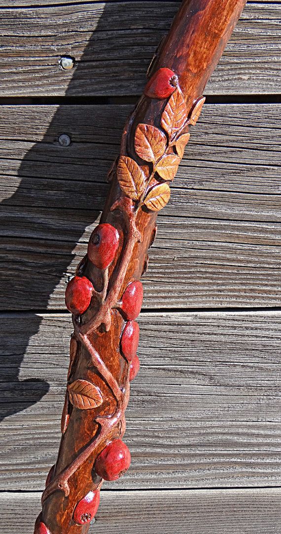 Diamond Willow, Handmade Walking Sticks, Monster Truck Coloring Pages, Walking Staff, Hand Carved Walking Sticks, Dremel Carving, Canes And Walking Sticks, Cane Stick, Rose Hips