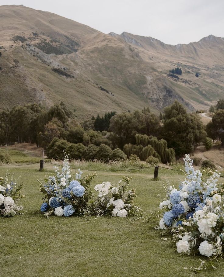 Blue white hydrangea wedding flowers Blue And White Aisle Flowers, Delphinium Wedding Bouquet, Blue Delphinium Wedding, Blue Delphinium Bouquet, Delphinium Bouquet, Blue And White Hydrangea, Blue Hydrangea Bouquet, Delphinium Flower, Alter Flowers