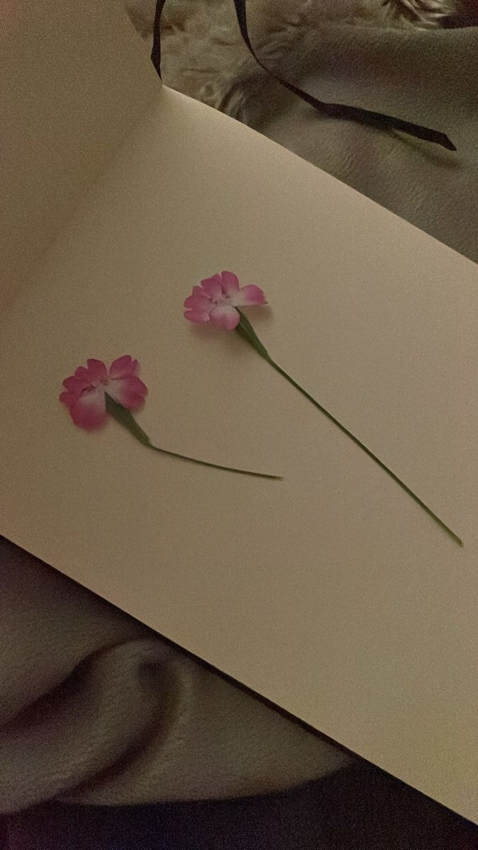 three pink flowers sitting on top of a piece of paper next to a pair of glasses