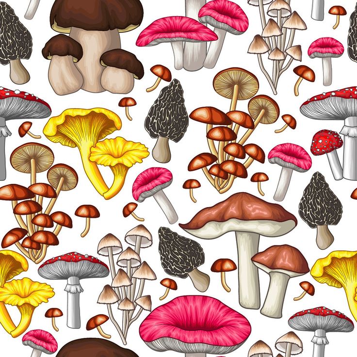 a bunch of mushrooms that are on the side of a white wallpaper pattern, with different colors and sizes