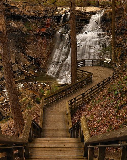 stairs lead down to a waterfall in the woods