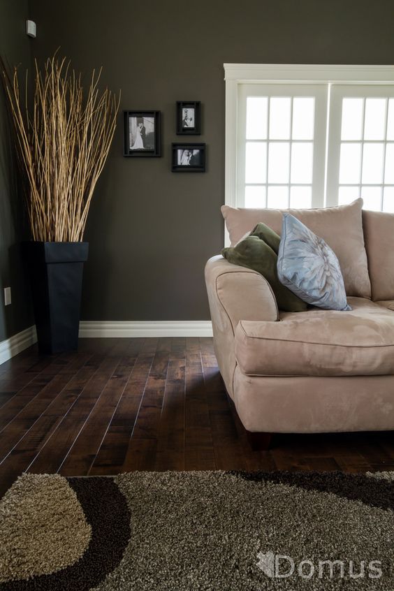 a living room scene with focus on the couch and rug, windows, and wood flooring