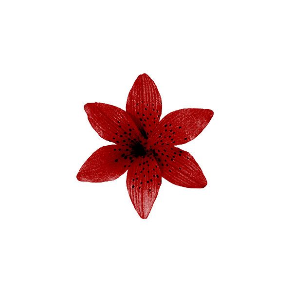 a red flower with black dots on it