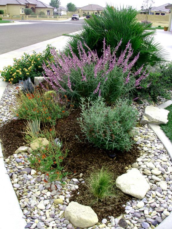 a garden with rocks and plants in it