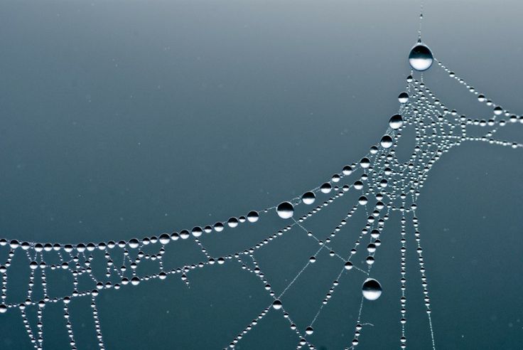 water droplets on the surface of a body of water