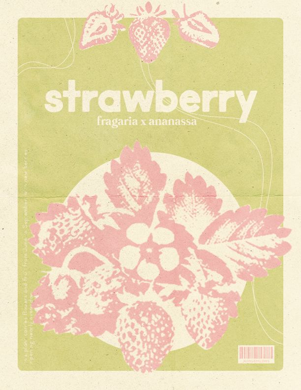 the front cover of strawberry magazine with pink and green flowers on it's back